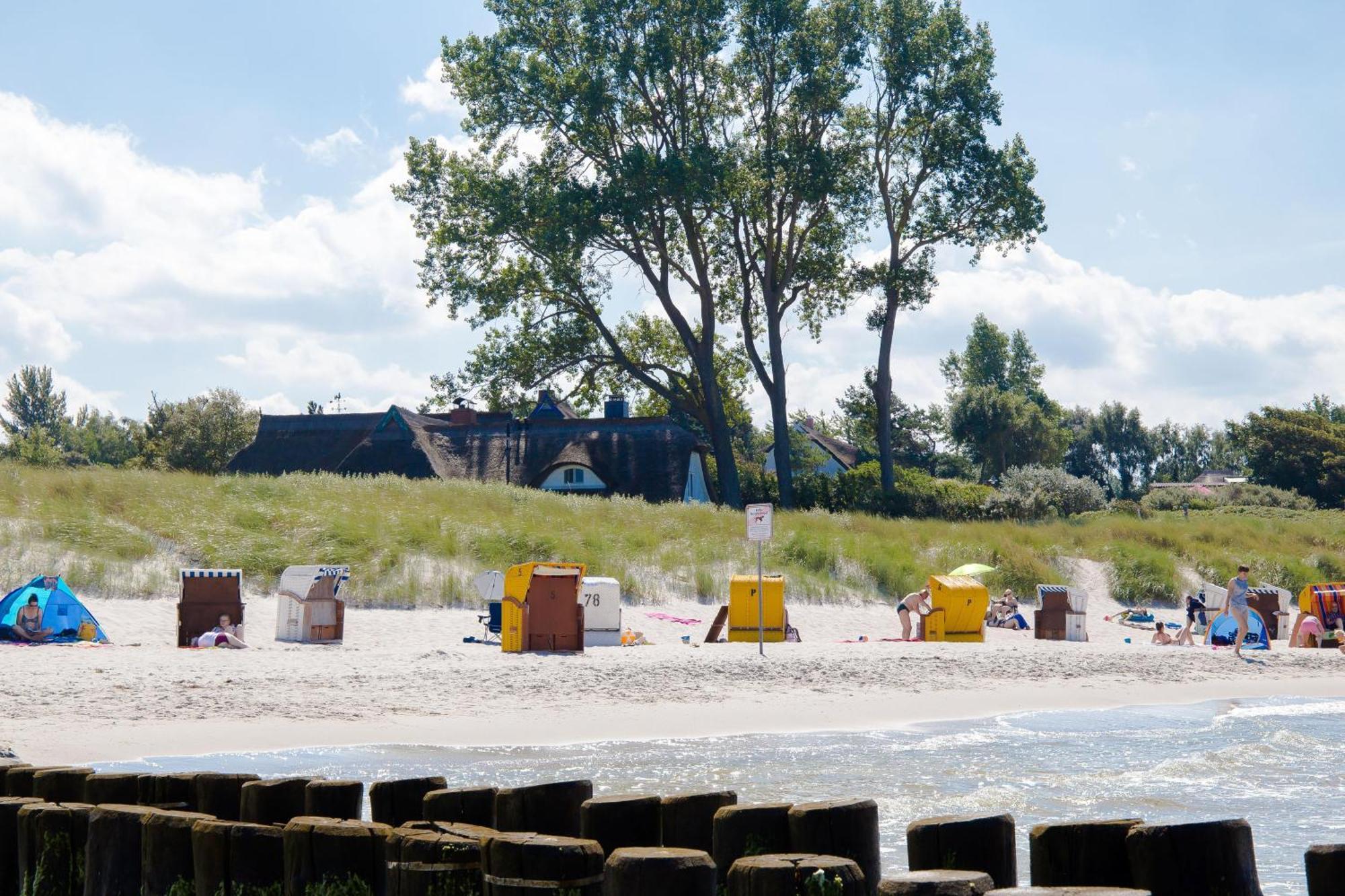 Apartment Bootsanleger, Haven Hoeoevt Ahrenshoop